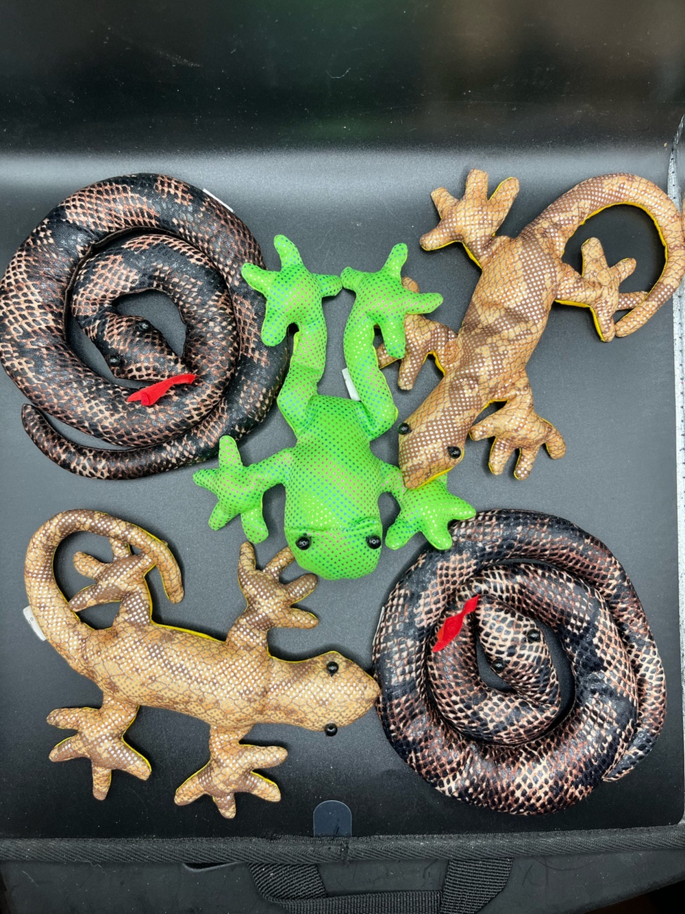Bean Bag Reptiles Toys Lot
